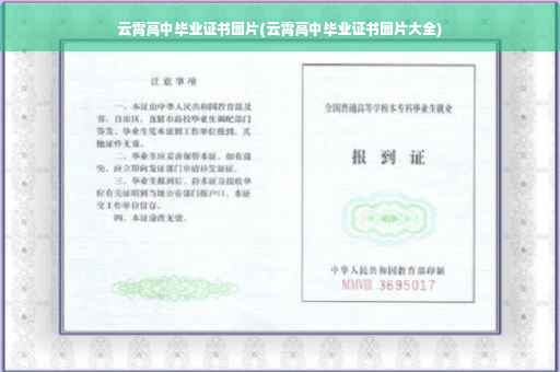 云霄高中毕业证书图片(云霄高中毕业证书图片大全)
