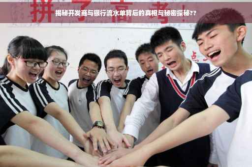 揭秘开发商与银行流水单背后的真相与秘密探秘??
