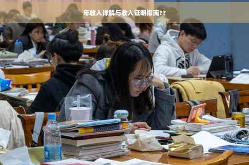 年收入详解与收入证明指南??