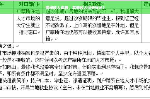 揭秘收入真相，其他收入何去何从？
