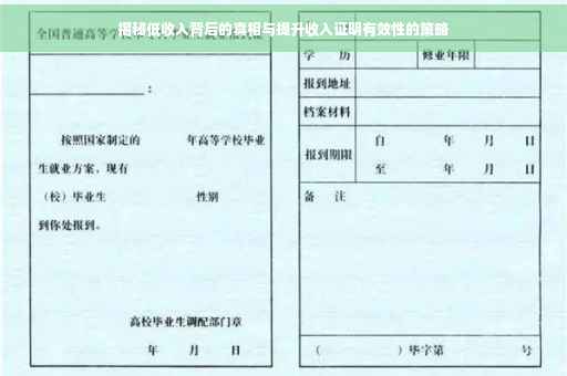 揭秘低收入背后的真相与提升收入证明有效性的策略