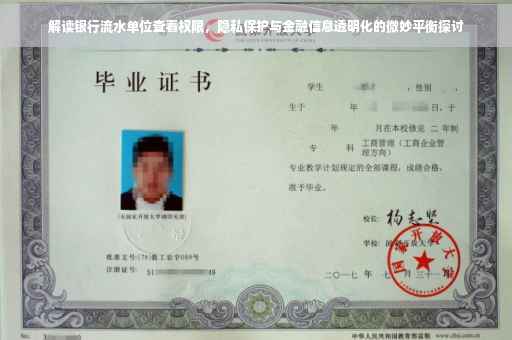 解读银行流水单位查看权限，隐私保护与金融信息透明化的微妙平衡探讨