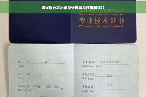 建设银行流水印章号详解及作用解读??