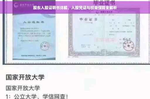 股东入股证明书详解，入股凭证与权益保障全解析