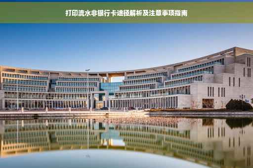 打印流水非银行卡途径解析及注意事项指南