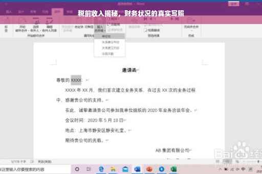 税前收入揭秘，财务状况的真实写照
