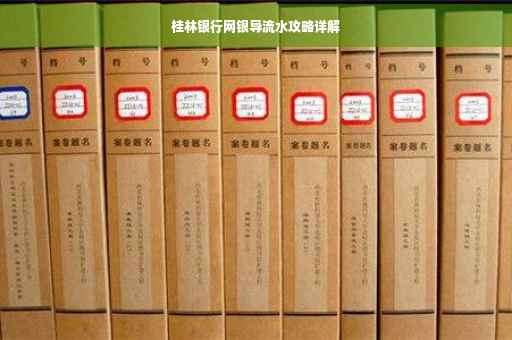 桂林银行网银导流水攻略详解