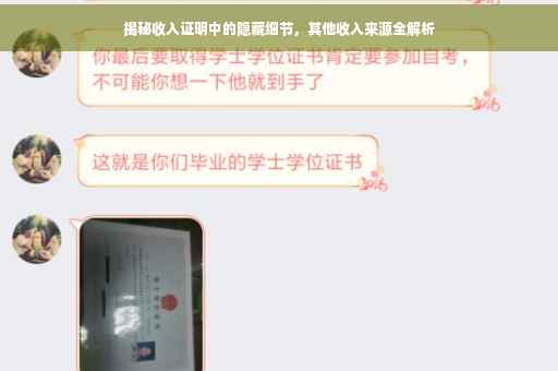 揭秘收入证明中的隐藏细节，其他收入来源全解析