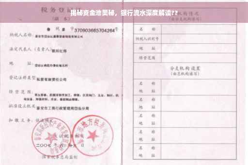 揭秘资金池奥秘，银行流水深度解读??