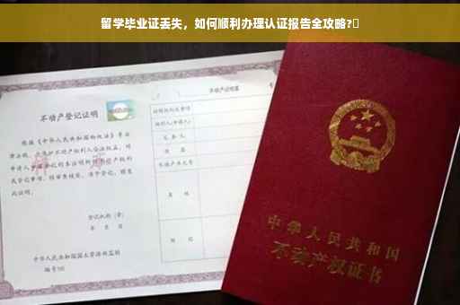 留学毕业证丢失，如何顺利办理认证报告全攻略?✨