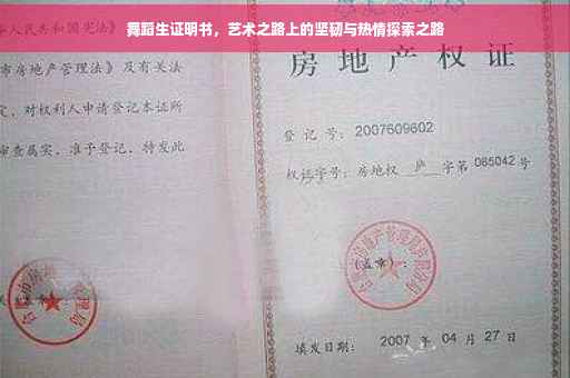 舞蹈生证明书，艺术之路上的坚韧与热情探索之路