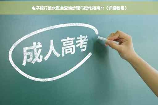 电子银行流水账单查询步骤与操作指南??（详细教程）