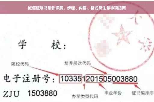 诚信证明书制作详解，步骤、内容、格式及注意事项指南