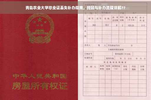 青岛农业大学毕业证丢失补办指南，找回与补办流程详解??