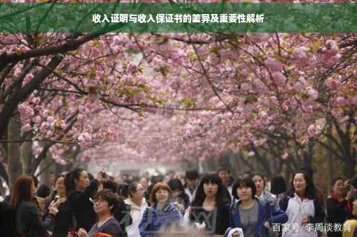 收入证明与收入保证书的差异及重要性解析