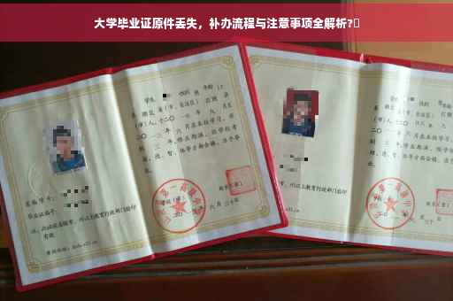 大学毕业证原件丢失，补办流程与注意事项全解析?✨