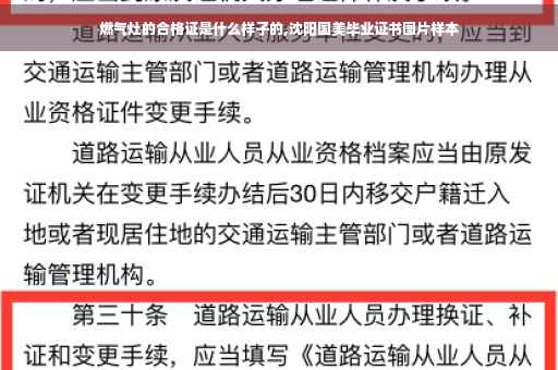 燃气灶的合格证是什么样子的,沈阳国美毕业证书图片样本