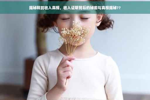 揭秘税前收入真相，收入证明背后的秘密与真相揭秘??