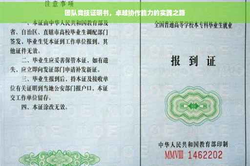 团队竞技证明书，卓越协作能力的实践之路