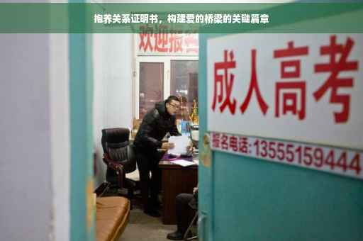 抱养关系证明书，构建爱的桥梁的关键篇章