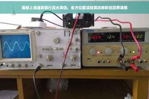 揭秘上海浦发银行流水真伪，全方位解读验真攻略助你洞悉真相