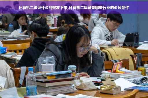 计算机二级证什么时候发下来,计算机二级证是哪些行业的必须条件