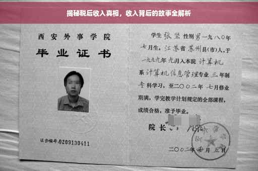 揭秘税后收入真相，收入背后的故事全解析