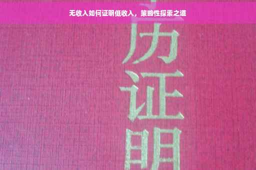 无收入如何证明低收入，策略性探索之道
