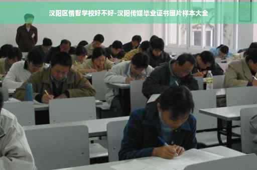 汉阳区情智学校好不好-汉阳传媒毕业证书图片样本大全