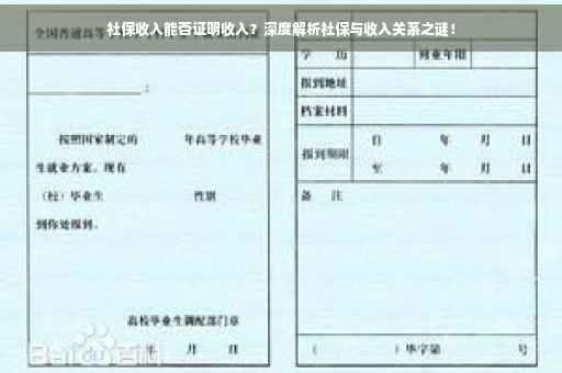 社保收入能否证明收入？深度解析社保与收入关系之谜！