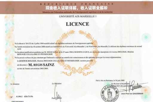现金收入证明详解，收入证明全解析
