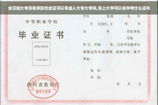 全日制大专没有拿到毕业证可以拿成人大专大专吗,没上大学可以自学考什么证书