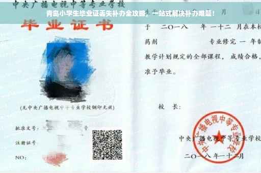 青岛小学生毕业证丢失补办全攻略，一站式解决补办难题！