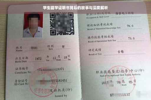 学生辍学证明书背后的故事与深度解析