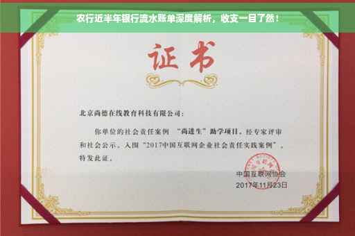 农行近半年银行流水账单深度解析，收支一目了然！