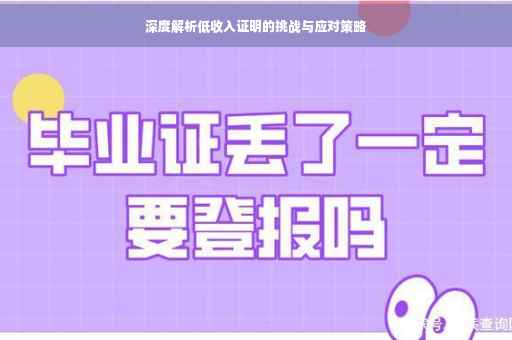 深度解析低收入证明的挑战与应对策略