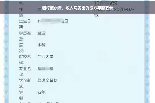 银行流水账，收入与支出的微妙平衡艺术