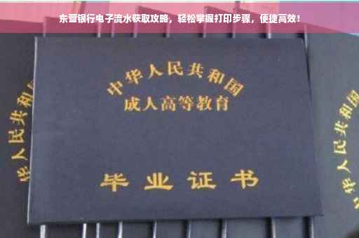 东营银行电子流水获取攻略，轻松掌握打印步骤，便捷高效！