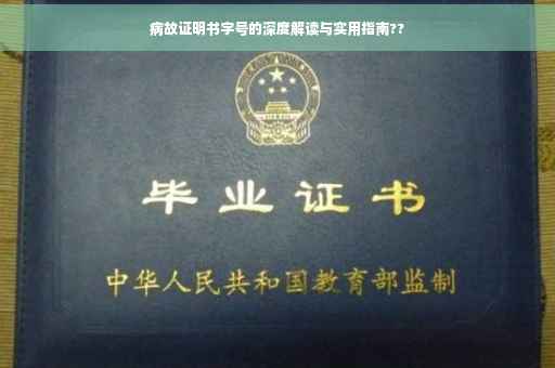病故证明书字号的深度解读与实用指南??