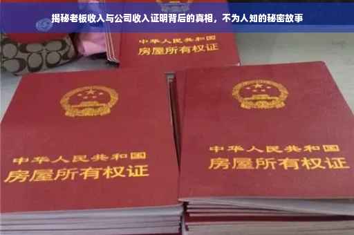 揭秘老板收入与公司收入证明背后的真相，不为人知的秘密故事