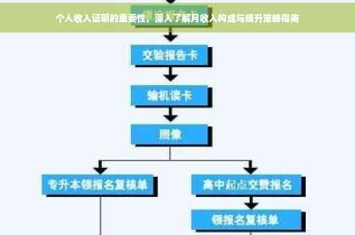 个人收入证明的重要性，深入了解月收入构成与提升策略指南