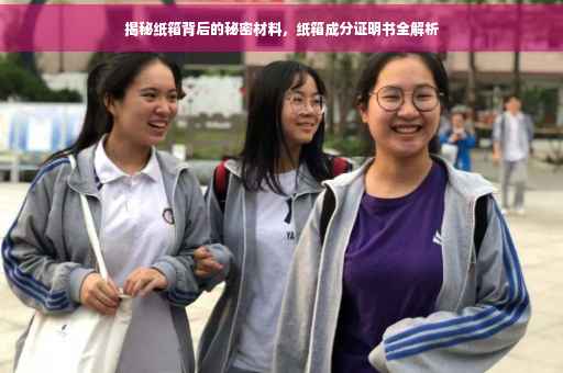 揭秘纸箱背后的秘密材料，纸箱成分证明书全解析