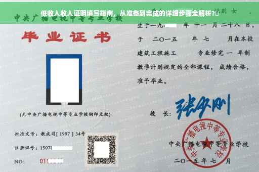 低收入收入证明填写指南，从准备到完成的详细步骤全解析?✨