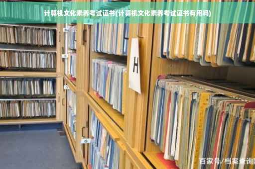 计算机文化素养考试证书(计算机文化素养考试证书有用吗)