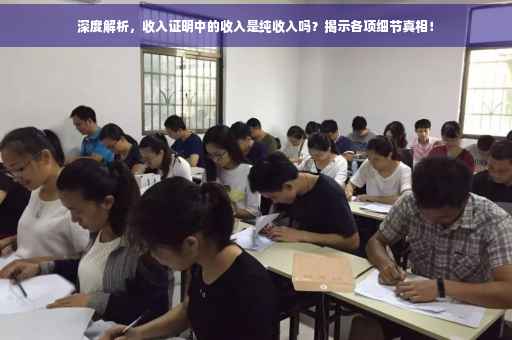 深度解析，收入证明中的收入是纯收入吗？揭示各项细节真相！