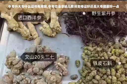 中专升大专什么证书有用啊,中专毕业拿幼儿教师资格证好还是大专那要好一点