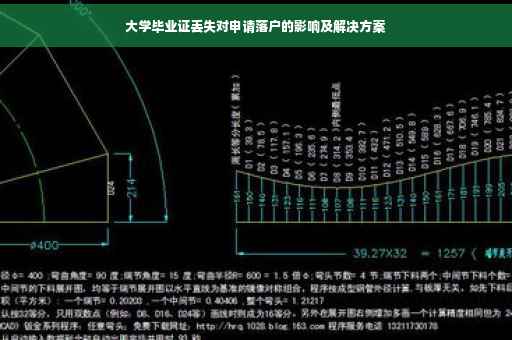 大学毕业证丢失对申请落户的影响及解决方案