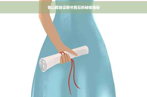 鲁山释放证明书背后的秘密揭秘