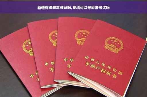 新疆有骆驼驾驶证吗,专科可以考司法考试吗