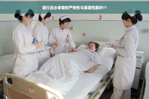银行流水审查的严格性与重要性解析??